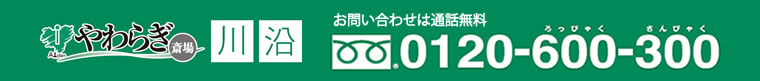 画像:おといあわせは通話無料0120-600-300ろっぴゃくさんびゃく